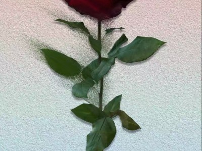 某宝花2999元买的PS+AI双专业教程，设计师的第一门必修课  别错过！随时下架！