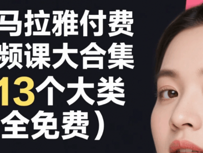 喜马拉雅付费音频课大合集（13个大类，全免费）mp3 [31.6G]